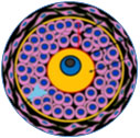 Corpus luteum